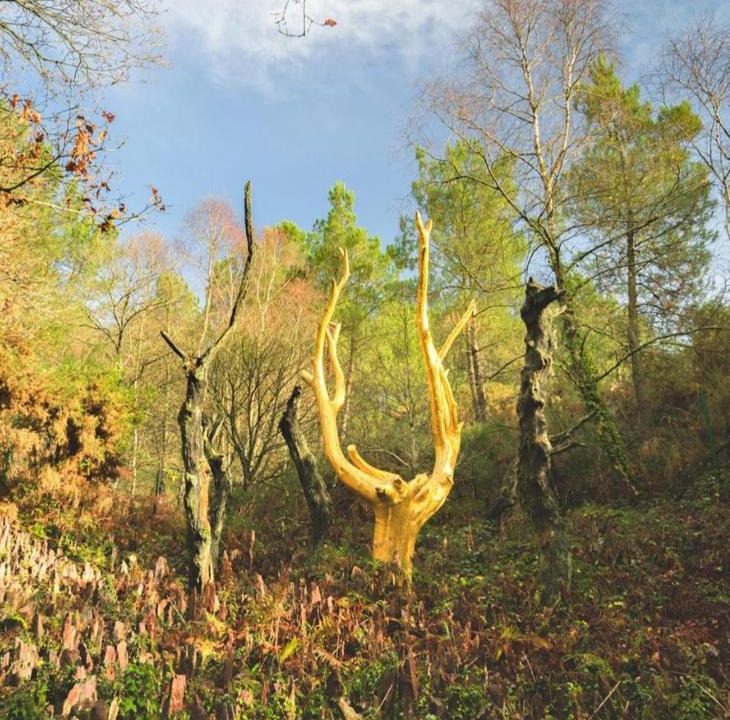 Taupont House | L'arbre dort studio indépendant