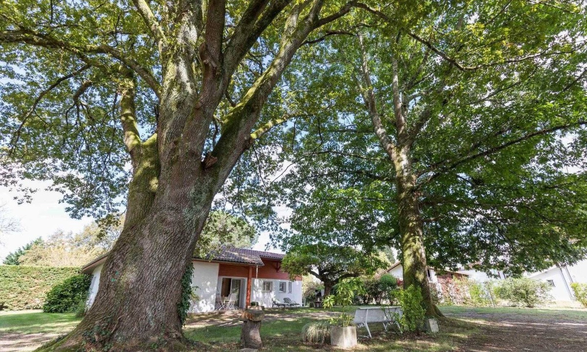 Taller House | L'atelier - Taller - Gîte