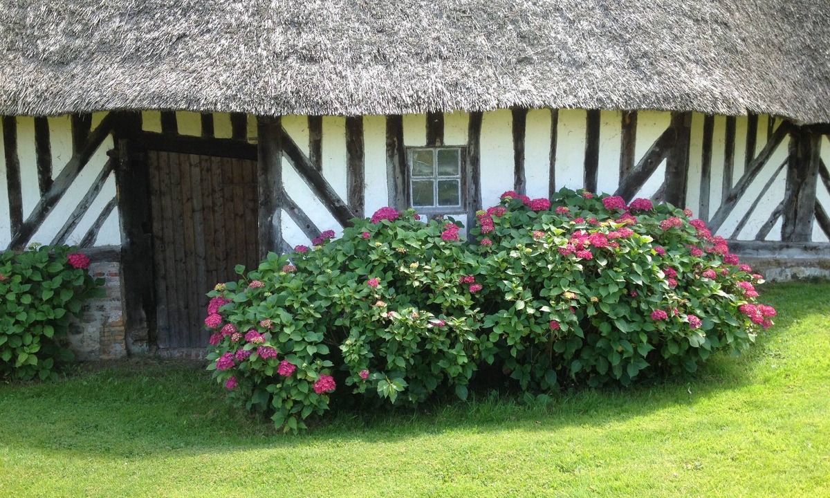 Le Breuil-en-Auge House | L'auberge du Mont