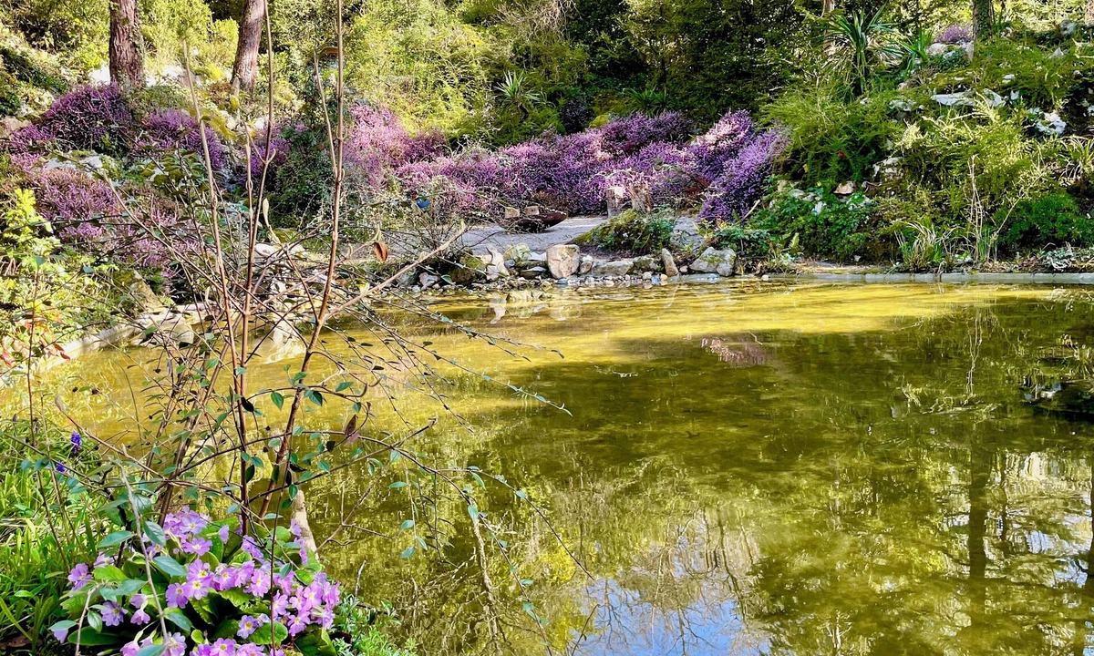 Poligny House | L'Autre Paradis, Natural Pools, Beaches, Enchanted Garden, Sauna