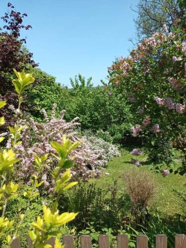 Arques-la-Bataille House | L'escale Arquaise, la maison au jardin fleuri à 5 min de dieppe 7 jours minimum
