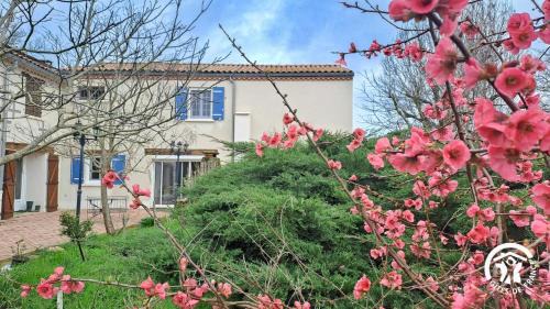 Castres House | L'esquirou