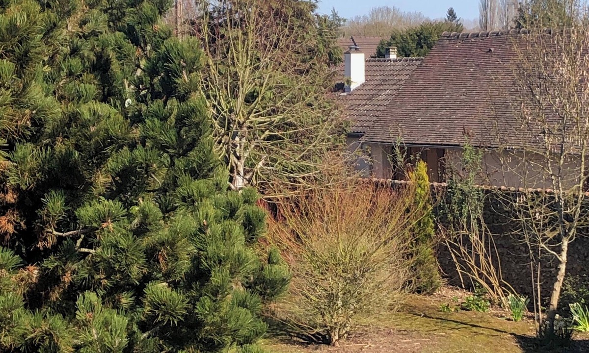 Villemeux-sur-Eure House | L'Étamine - Charming house with garden, quiet setting.