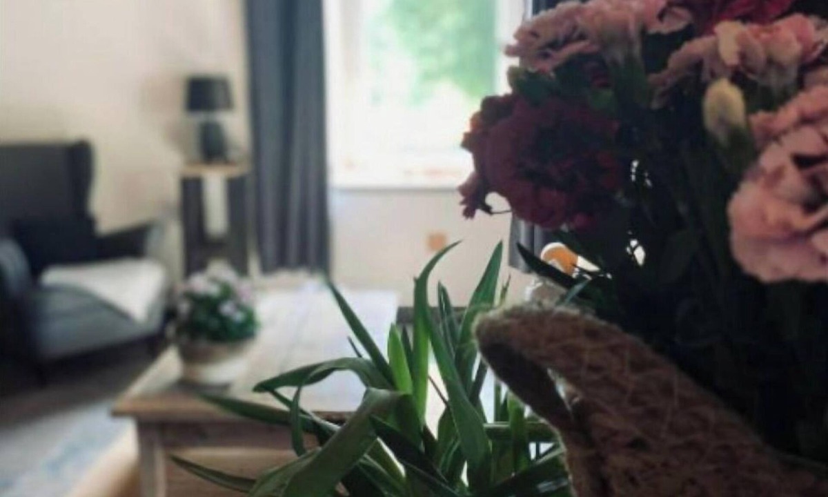 Echallon Apartment | L'instant Présent