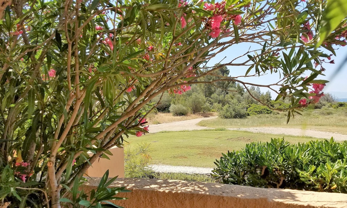 Fitou Apartment | L'oasis de Pédros