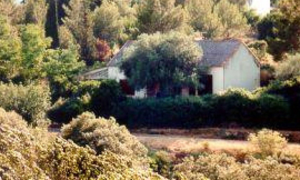 Saint-Martin-des-Puits House | L'Olivier - SAINT MARTIN DES PUITS