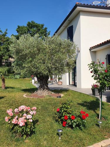 Mornant House | L'Olivier