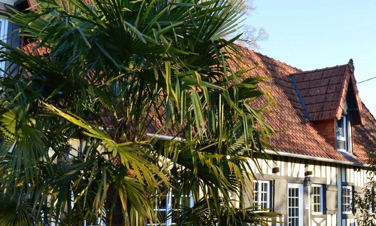 Ouville-la-Riviere Cottage | L'Orée des Prés - Quiet cocoon - Terrace & ground floor - 3 stars