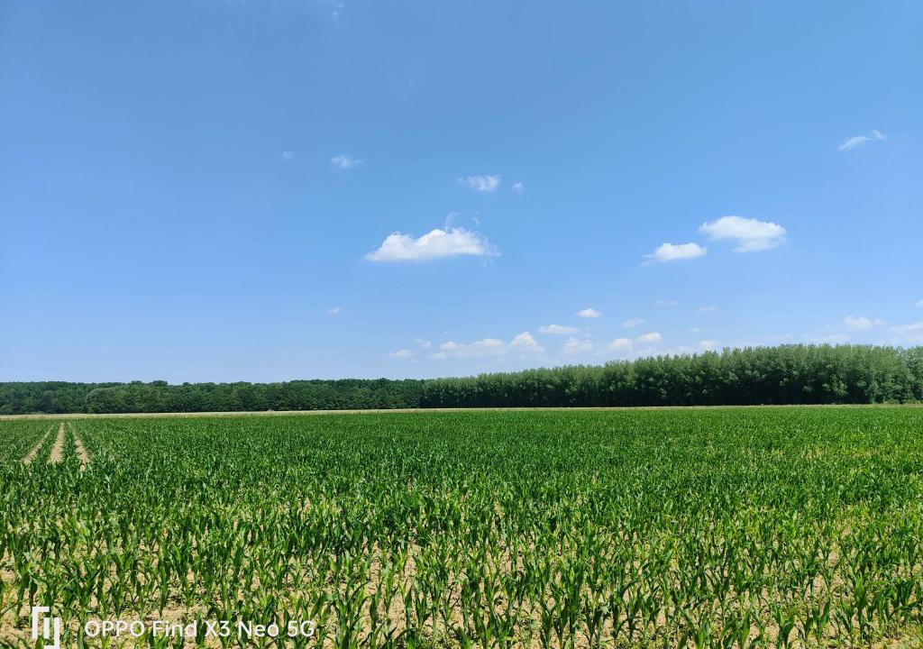 Haverskerque House | L'orée du bois