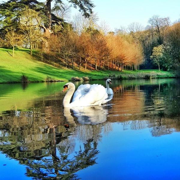 Bacilly House | L'Orangerie