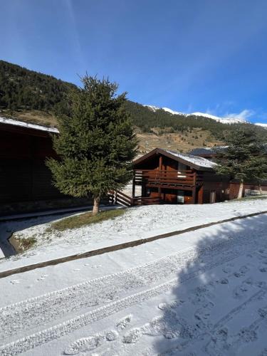 Soldeu Apartment | L'ORENETA - Peu del Riu 712 - Vall d'Incles - Soldeu Hut 8367