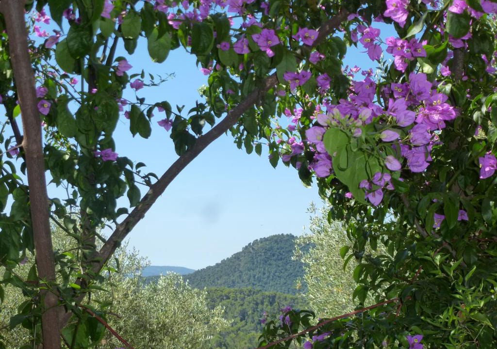 L'Escarene Bed & Breakfast | L'Origane