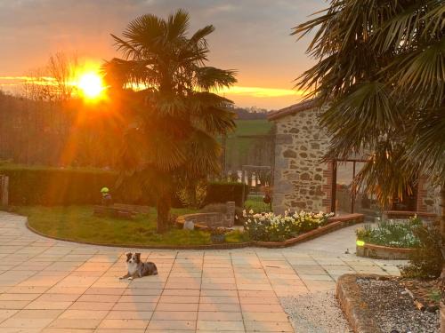 Saint-Michel-Mont-Mercure Bed & Breakfast | La Basse Monniere