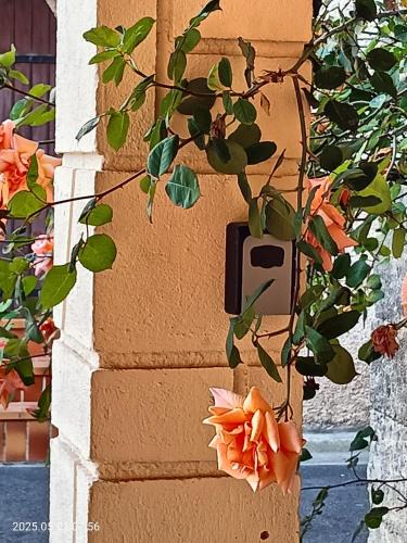 Alignan-du-Vent Apartment | La Brocante