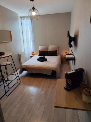 Tours Apartment | La Bulle de Tours, hyper center, train station in front!