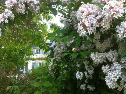 Blaison-Saint-Sulpice Bed & Breakfast | La Butte de Gohier