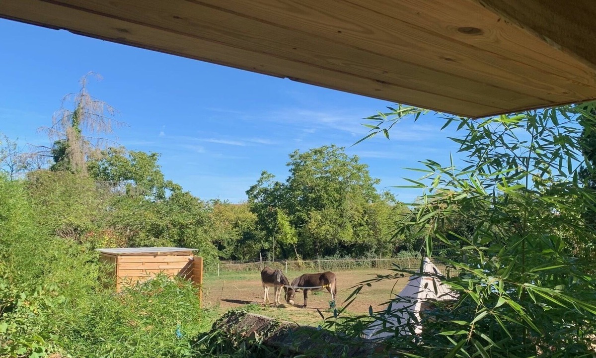 Huriel Cabin | La Cabane Bambou