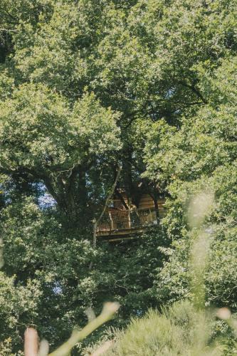 Coudures Other | La Cabanoun, cabane perchée vue lac