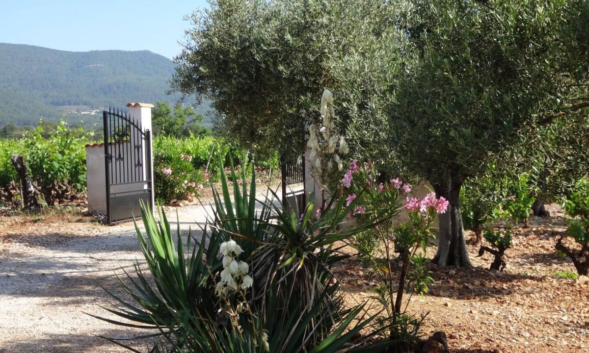 Cuers House | La Campagne - CUERS - Gîte