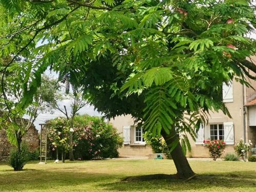 Sauveterre-Saint-Denis Bed & Breakfast | La Canolière - Chambre d'hôtes Camille