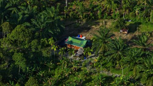Bohorok Hotel | La Capanna Sumatra Ecovillage