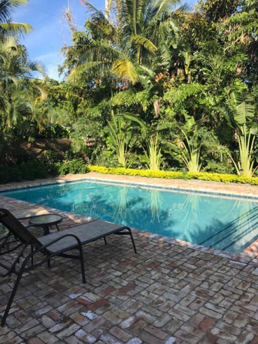 Flamingo Parks House | La Casa del Leon