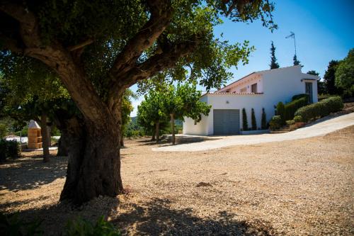 Ulldecona House | La Casa del Monte