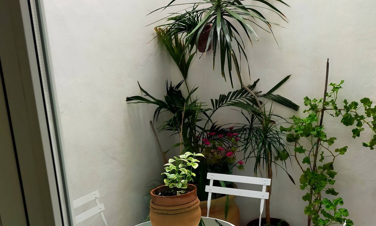 Pego Apartment | LA CASA DEL SOL, 10 minutes des plages de sable fin