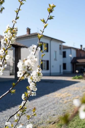 Cervesina House | La casa di AnNa