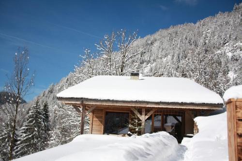 Abondance Ski Chalet | La Case