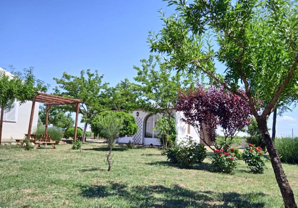 Socuellamos House | La Casita de los Almendros