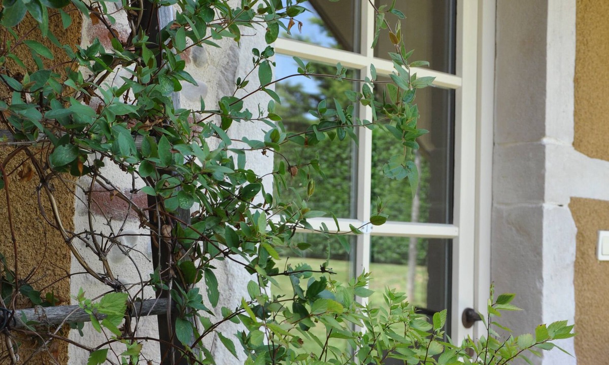 Cesseins Bed & Breakfast | La Cerisaie