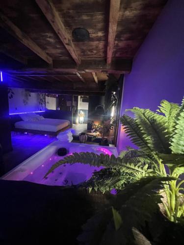 Rougefay Bed & Breakfast | La Chambre Du Village