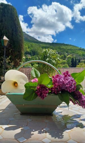 Pont du Loup House | La cigale