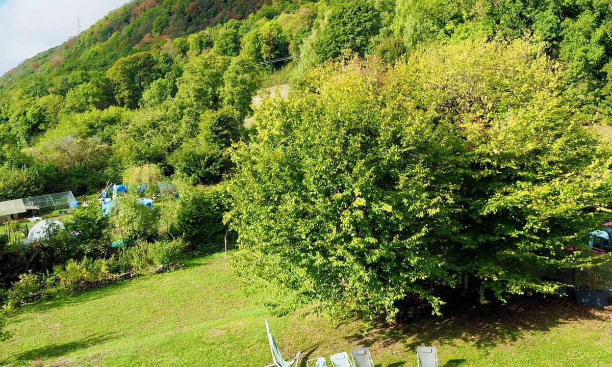 Collonges House | La Colonie d'Antan