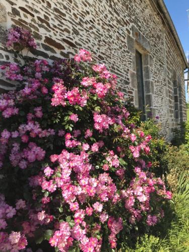 Geneslay Bed & Breakfast | La Corbonniere