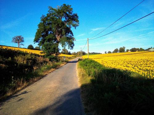 Saint-Palais Bed & Breakfast | La Cour d'Enchère