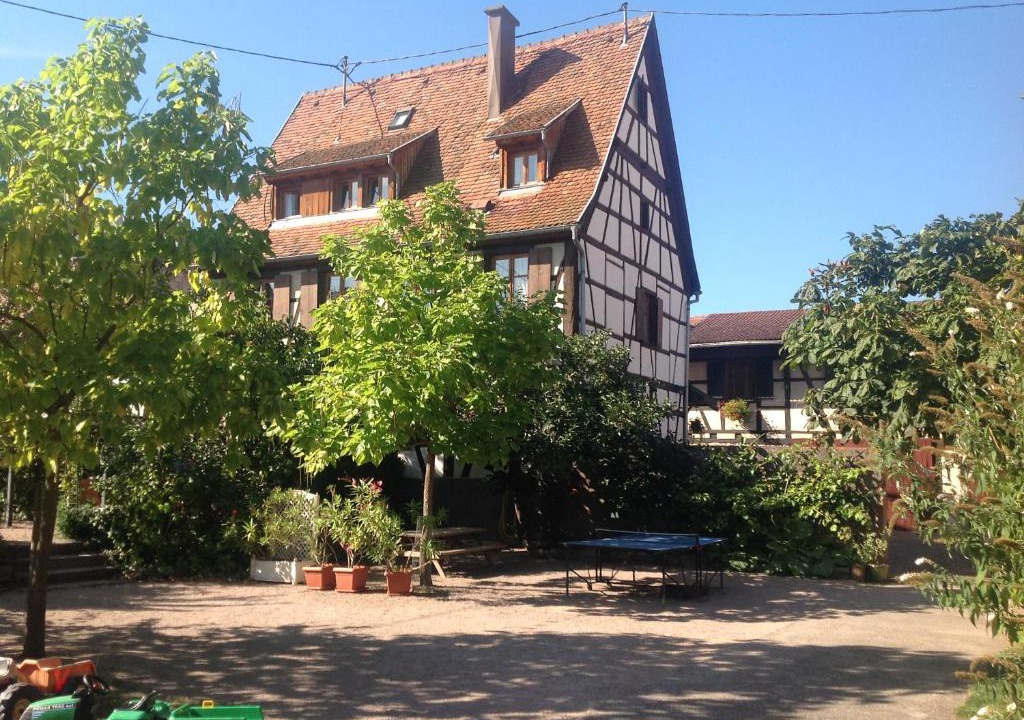 Dambach-la-Ville Apartment | La Cour Zaepffel