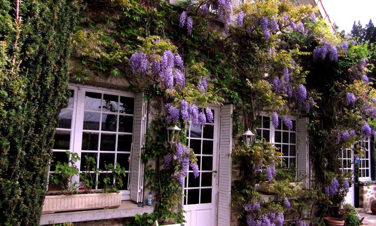 Chateauneuf-la-Foret Bed & Breakfast | La Croix du Reh