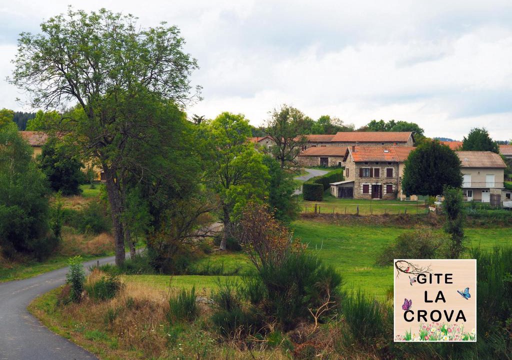 Felines House | La Crova
