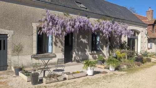 Azay-sur-Cher House | La Fermaletrie