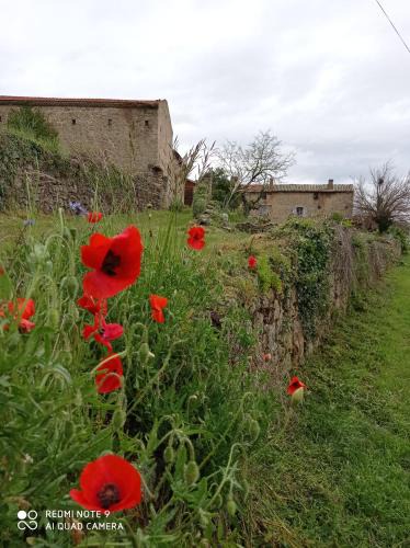 Boulieu-les-Annonay House | la ferme de fenivou