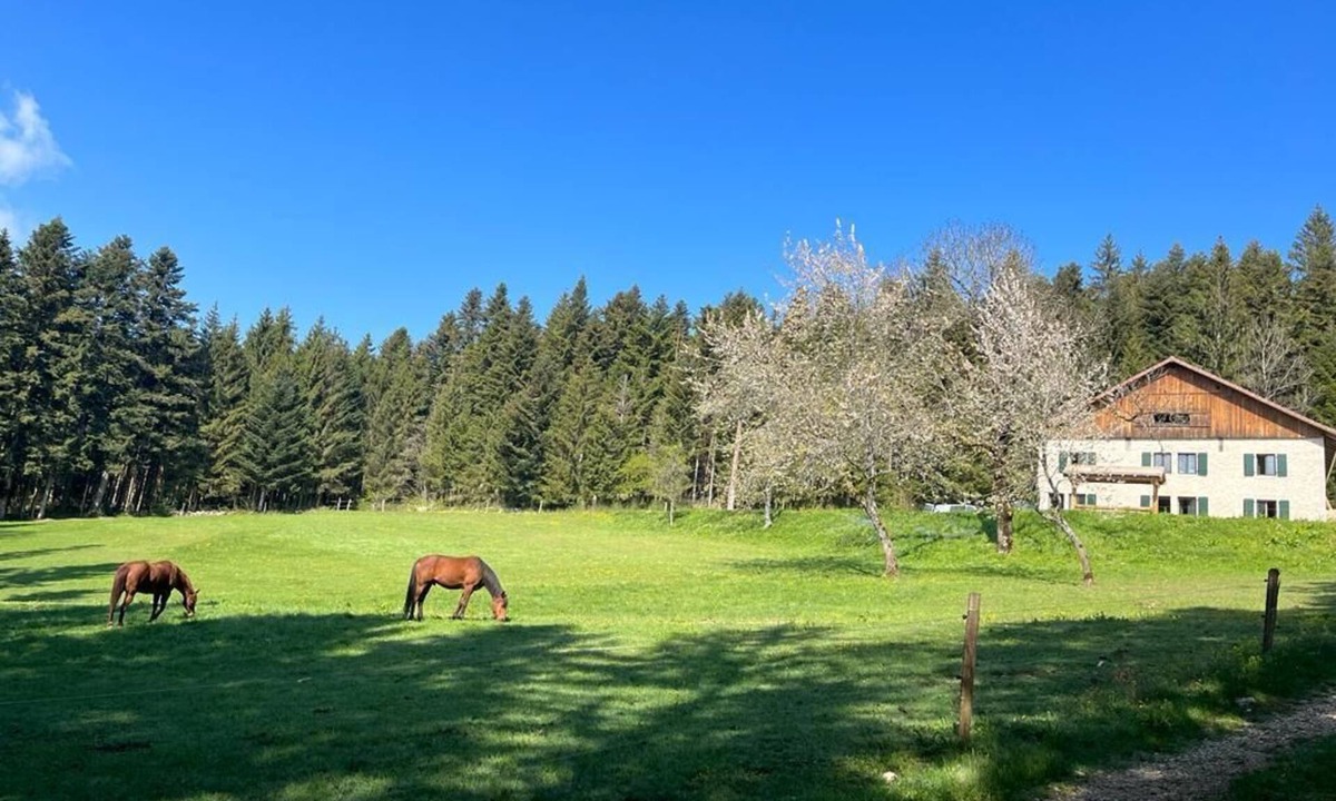 Plaimbois-du-Miroir Other | La Ferme des Brosses