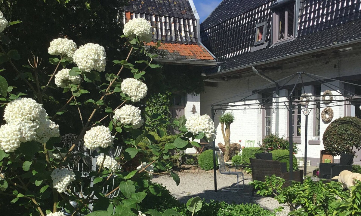 Sainghin-en-Weppes Bed & Breakfast | La Ferme Des Buis