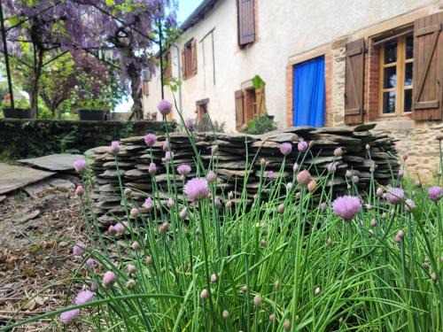 Pampelonne House | La ferme des grandes oreilles