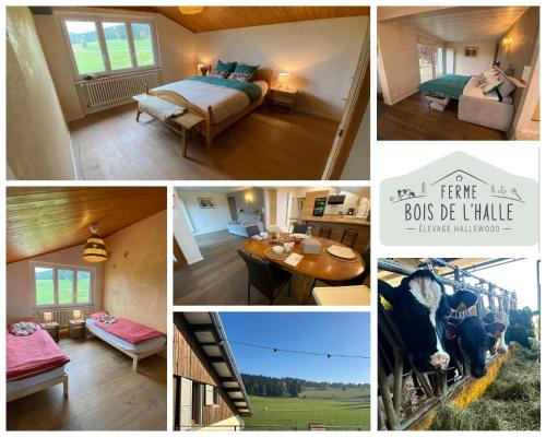 La Brevine Apartment | La Ferme du Bois de l'Halle