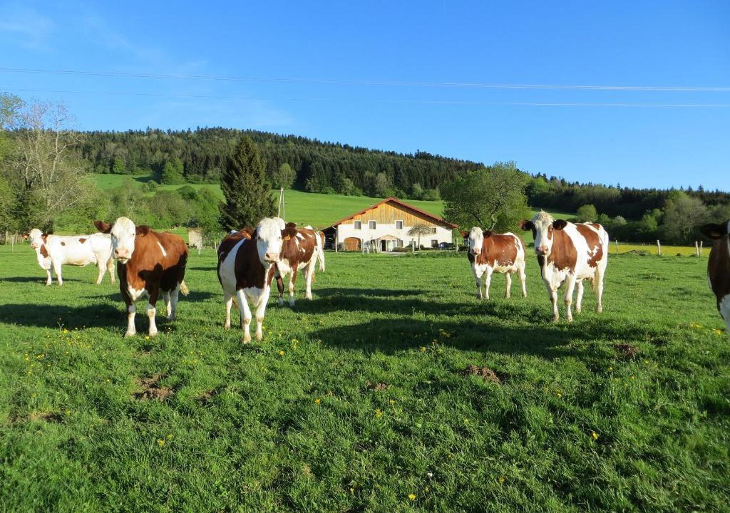 Pierrefontaine-les-Varans Bed & Breakfast | La ferme du bonheur