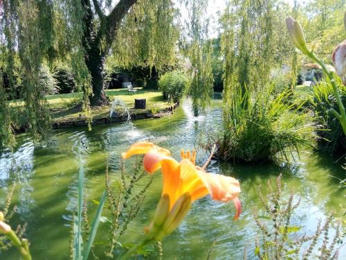 Rue House | La fermette du Marais