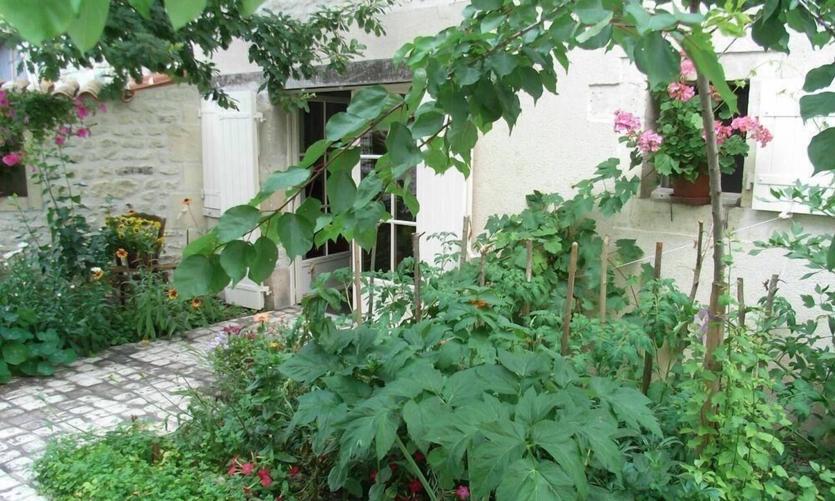 Gensac-la-Pallue Bed & Breakfast | La Fleur de Vigne - Maison D'Hotes