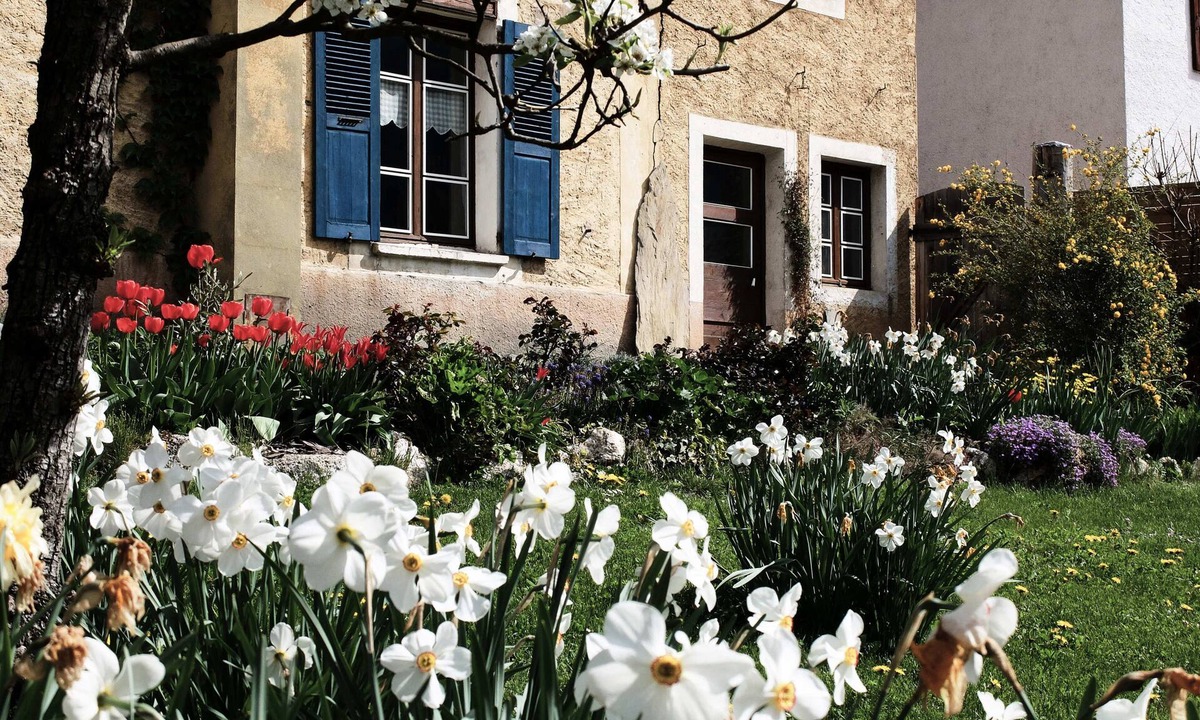 Aime House | La Foyère